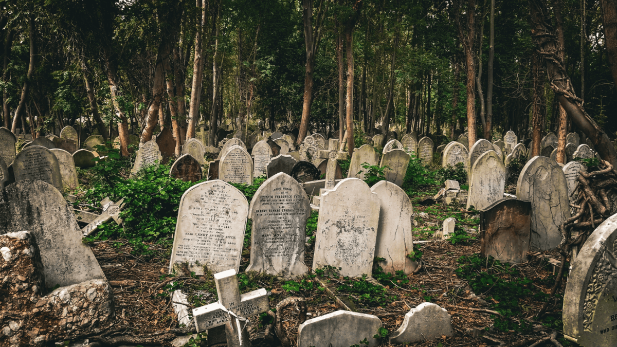 Rabid Cemeteryのバナー