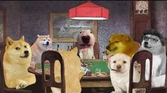 Cheems n' Doge Fan Club
