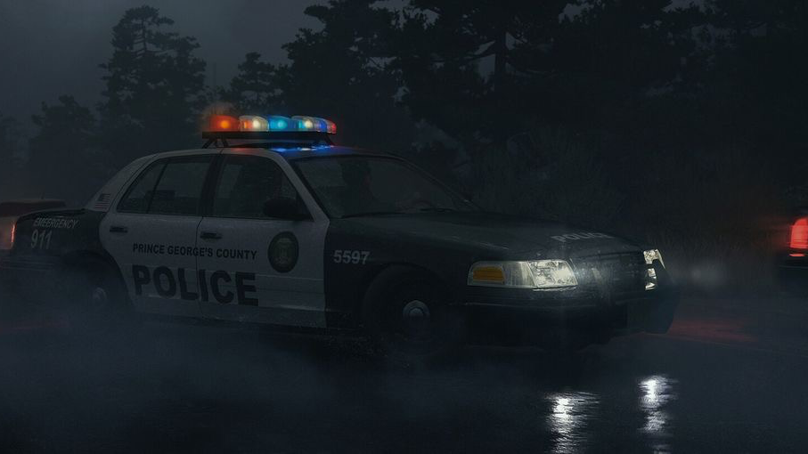 Im so policeのバナー