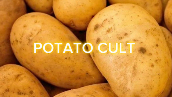 POTATO CULT