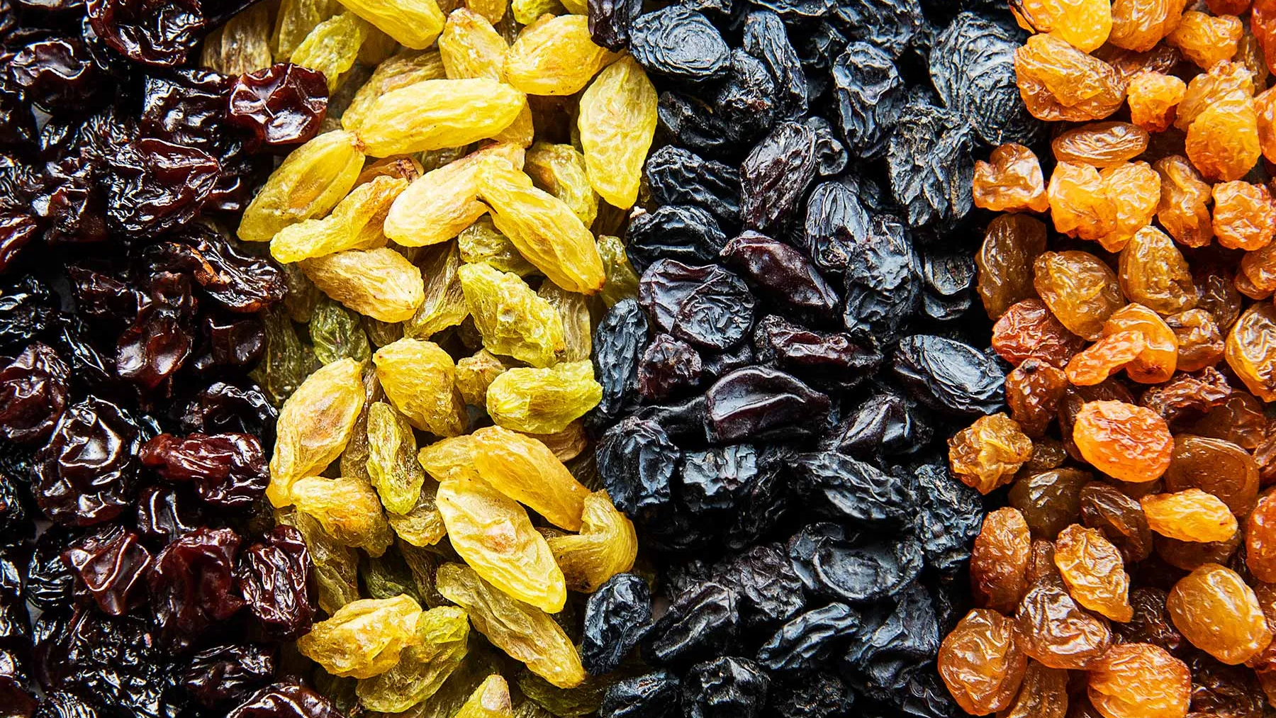 Viper loves raisins
