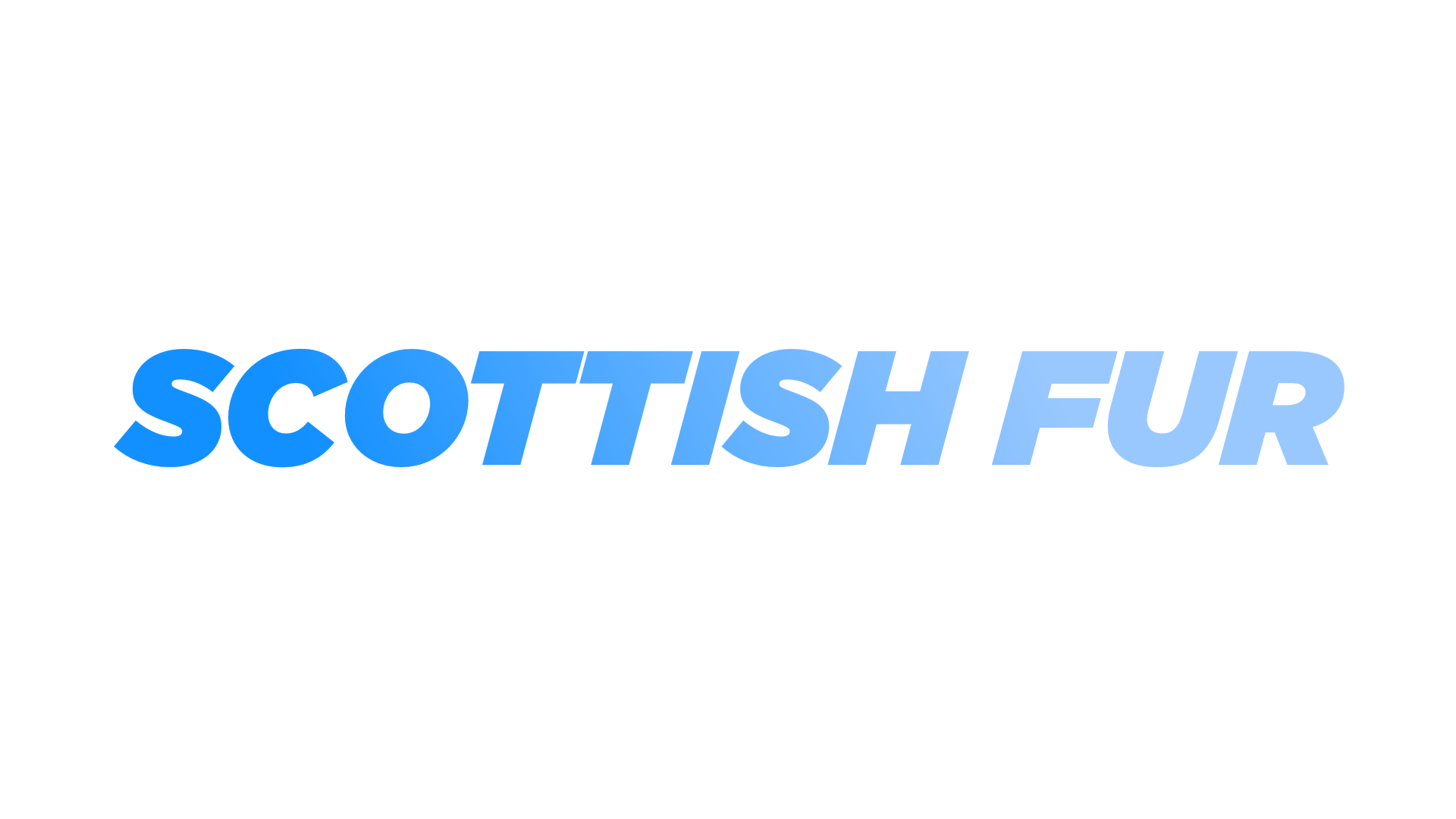 Scottish Furriesのバナー