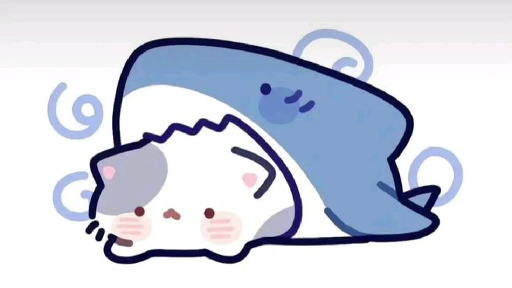 Sea Puppy'sのバナー