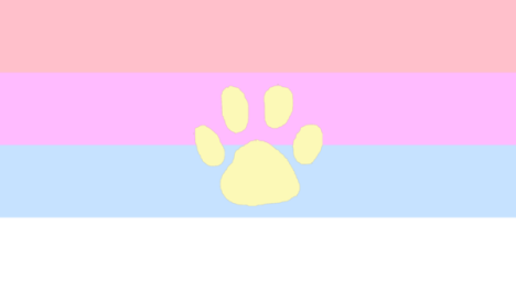 Lil Kittyのバナー