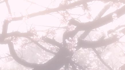 Gentle blossom daycareのバナー