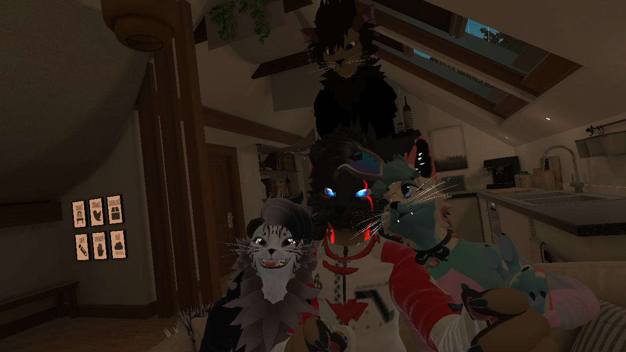 the furry boys