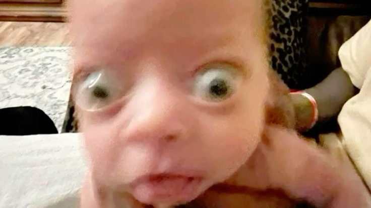 The Sigma Baby Male'sのバナー