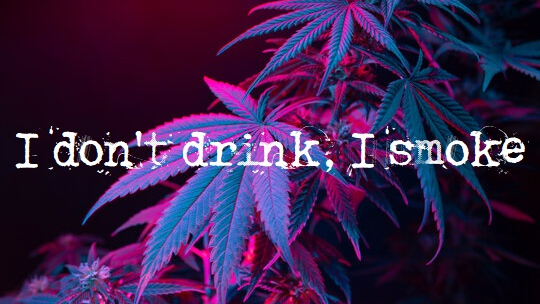 Stoners in Recoveryのバナー