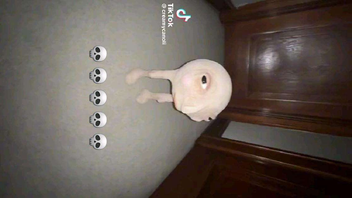 gnisbert