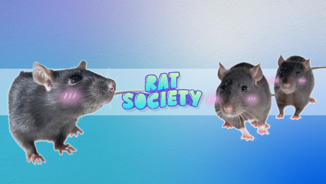Rat Societyのバナー