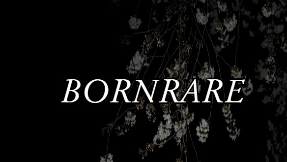 B҉o҉r҉n҉R҉a҉r҉e҉