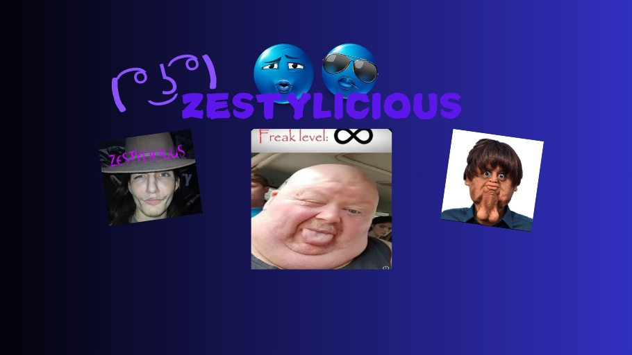 ZESTYLICIOUSのバナー
