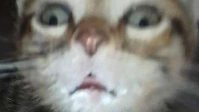 aaaのバナー