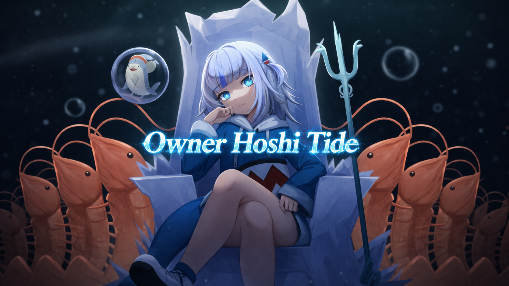 Owner Hoshi tideのバナー