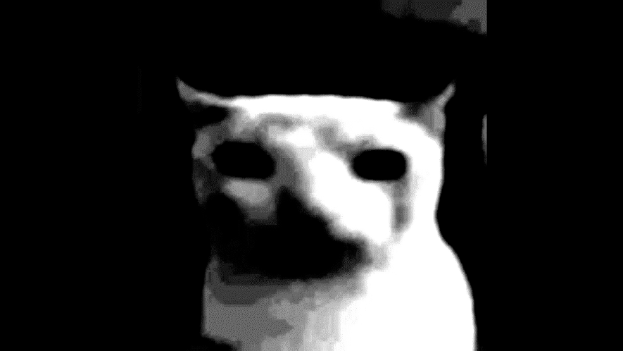 CatDespairのバナー