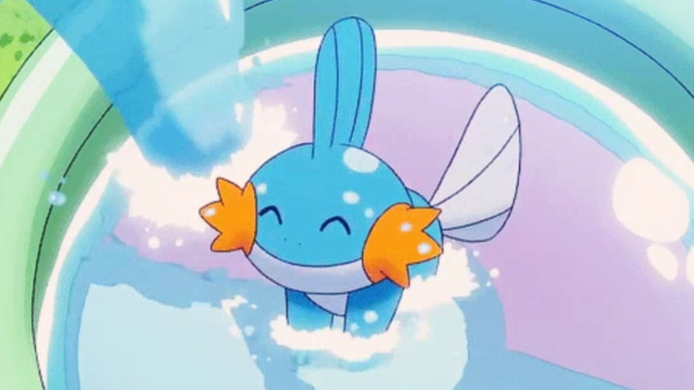 Mudkips yap poolのバナー