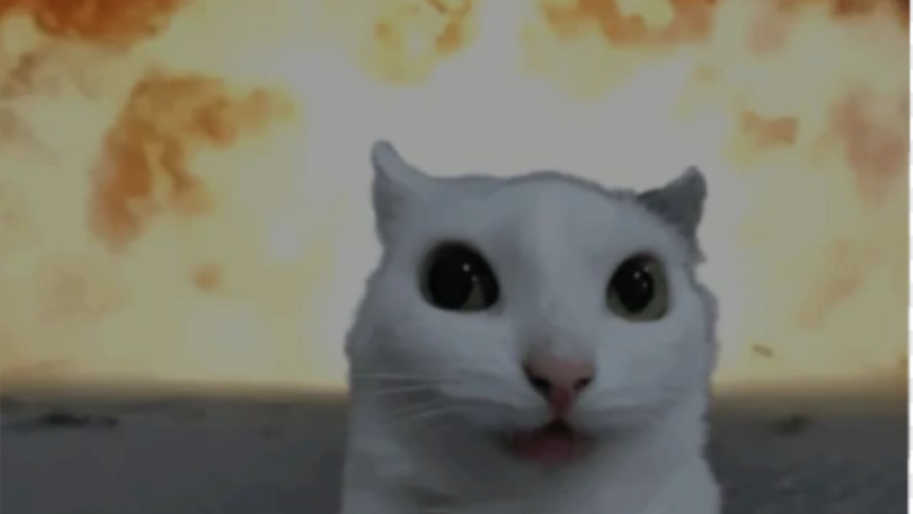 Kitty Haremのバナー