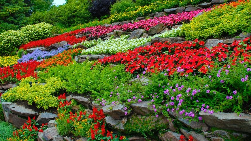 My Flower Gardenのバナー