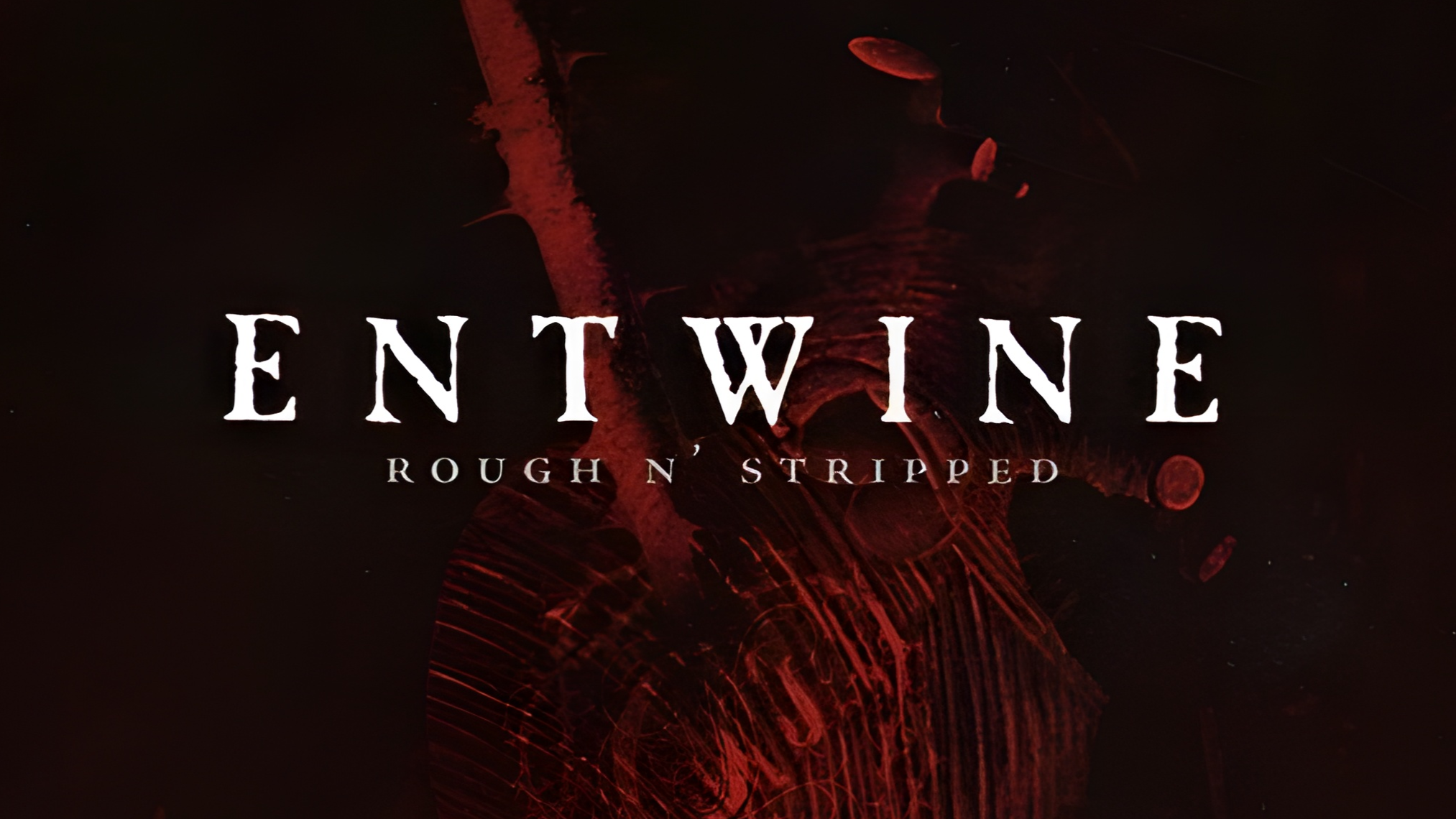ENTWINEのバナー