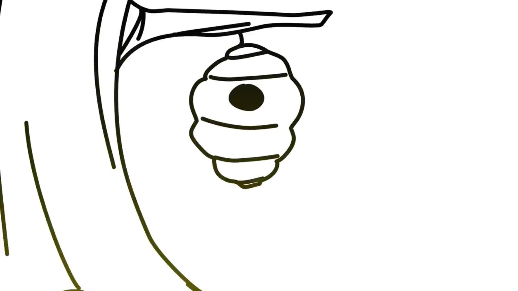 Balistics Beehive