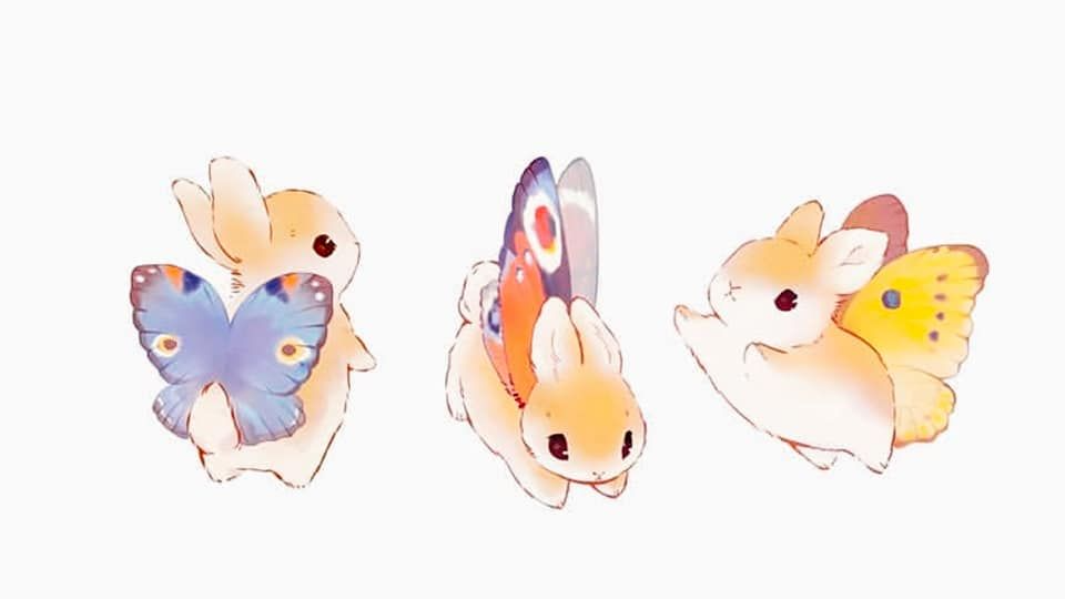 Honey Bunnies