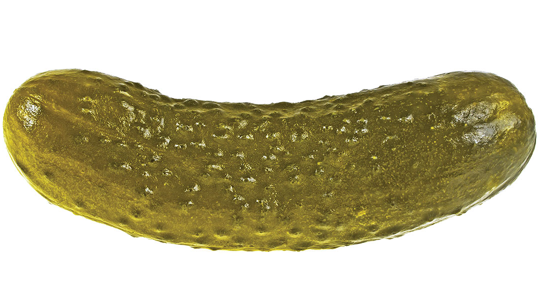 Pickle