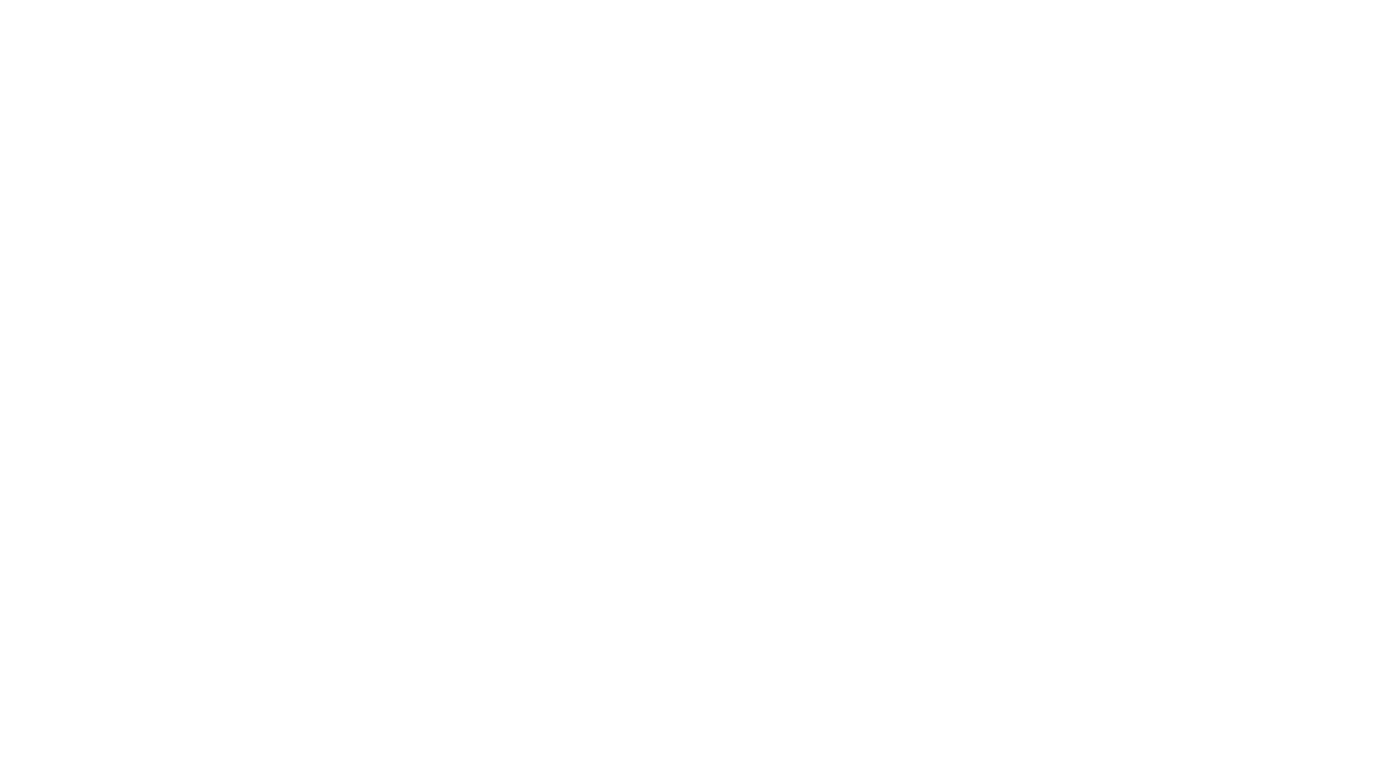 McGooser Inc