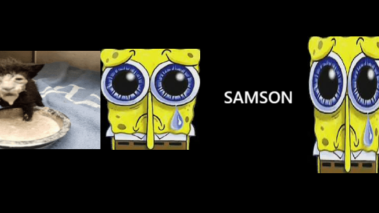 FARK SAMSONのバナー