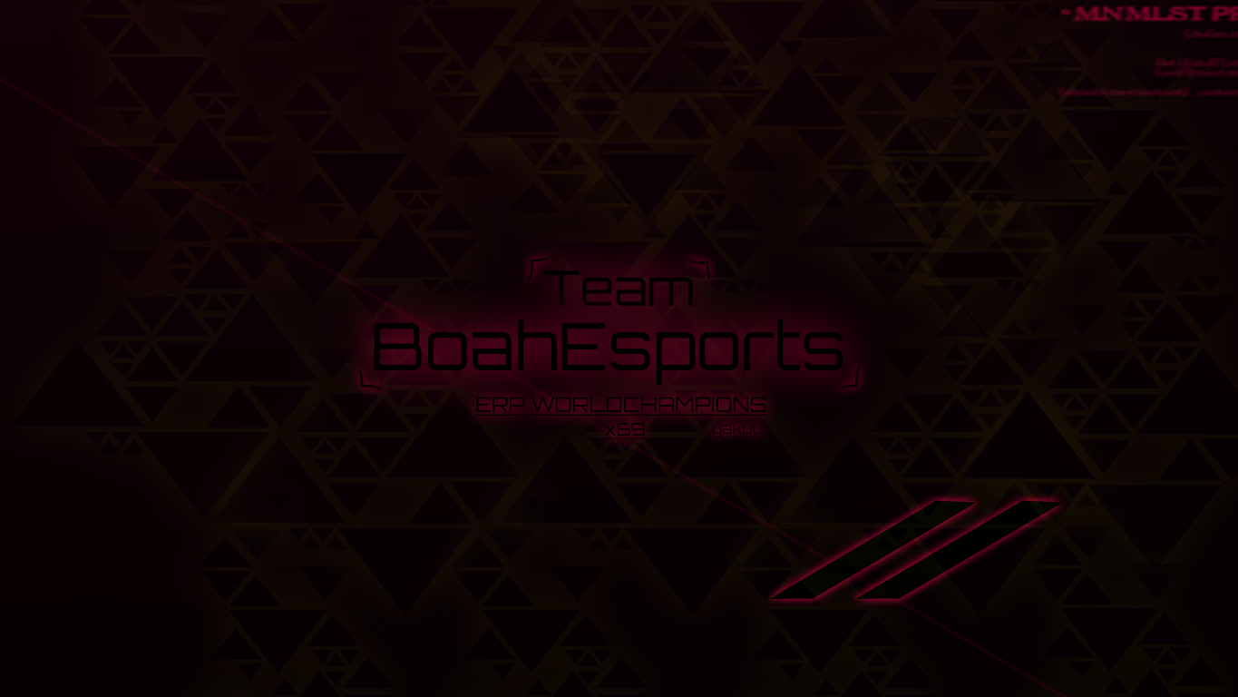 BoahEsportsのバナー