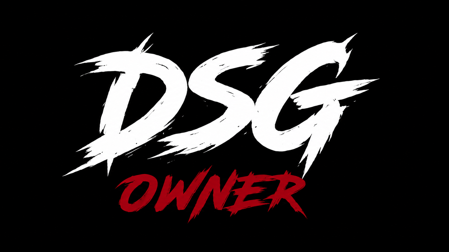 OWNERS DSGのバナー