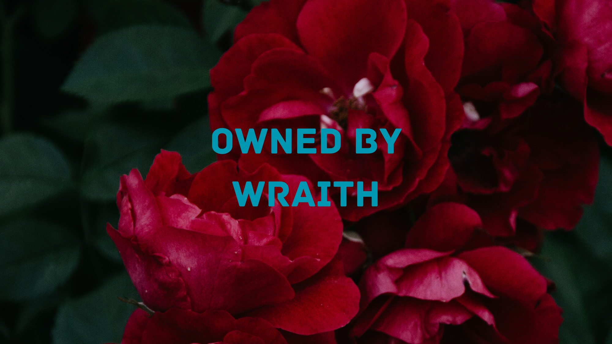 Wraithsのバナー