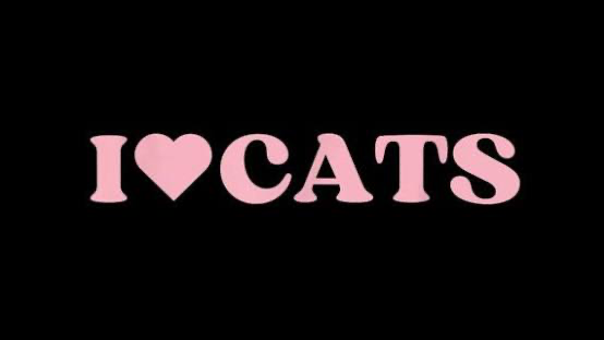 Catsのバナー