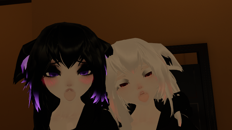 The Gay Cat Club