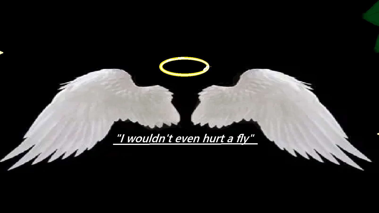 I wouldn't even hurt a flyのバナー