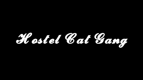 Hostel Cat Gangのバナー
