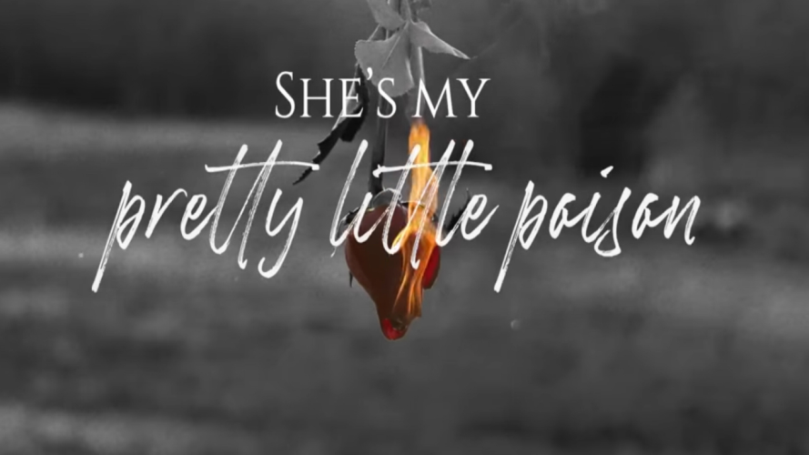 Shes my pretty little poisonのバナー