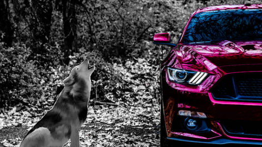 mustangs friends