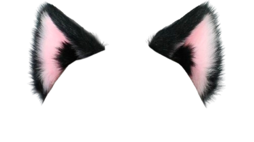 Meow