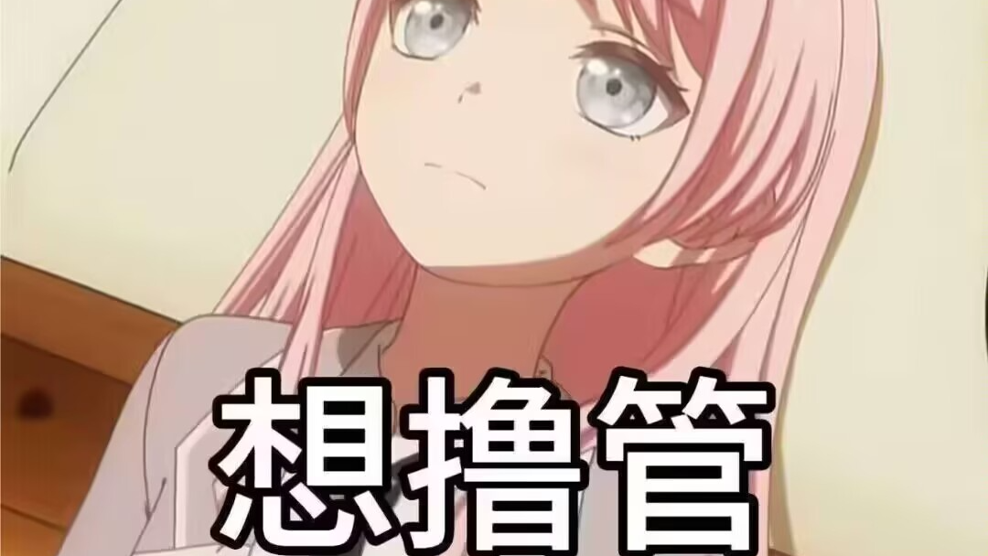喵喵酱的绒布球团子大家族のバナー