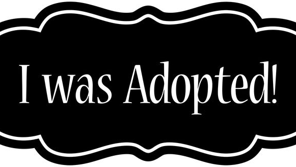 Adopted by Finns
