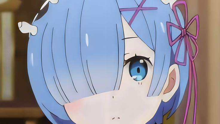Rem body pillow gangのバナー