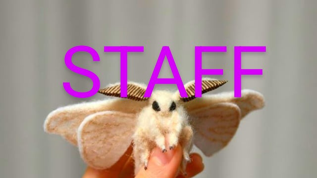 MOTH STAFF