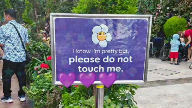 please don't touch meのバナー