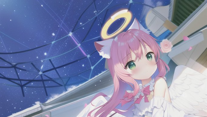 meowのバナー