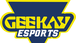 GEEKAY ESPORTSのバナー