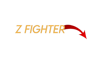 Z FIGHTERS