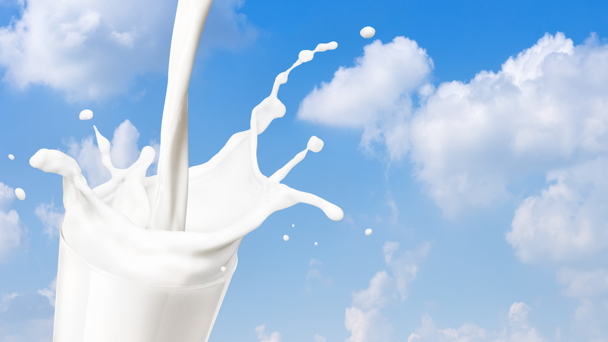 Milkers