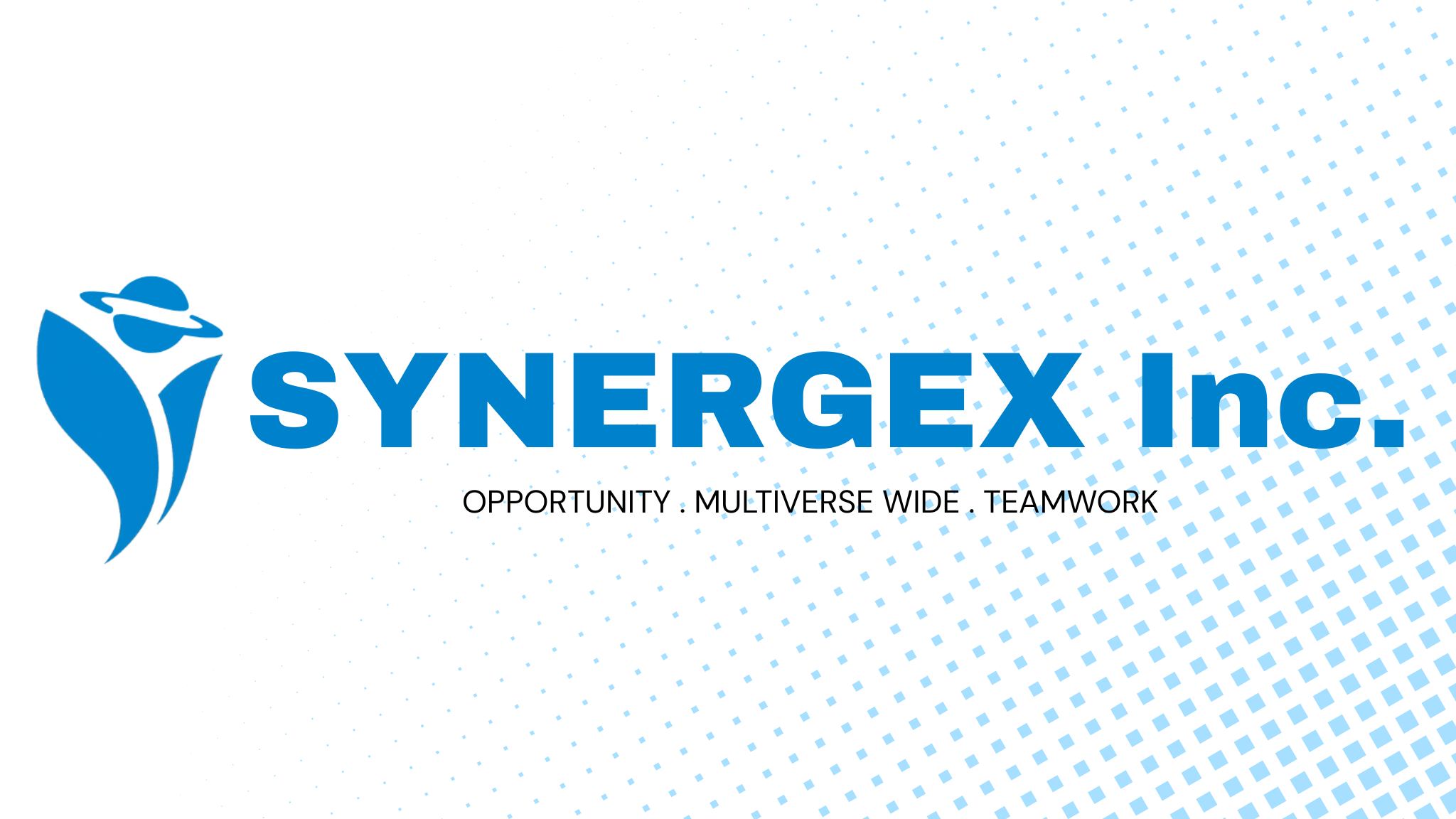 SYNERGEX Inc