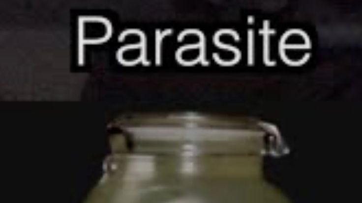 Certified_Parasite