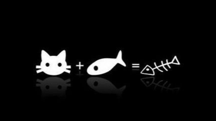 animalcultのバナー